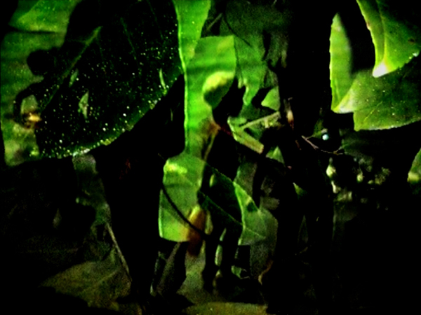 besegher-huntmetender