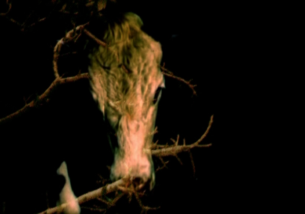 besegher-myfinger